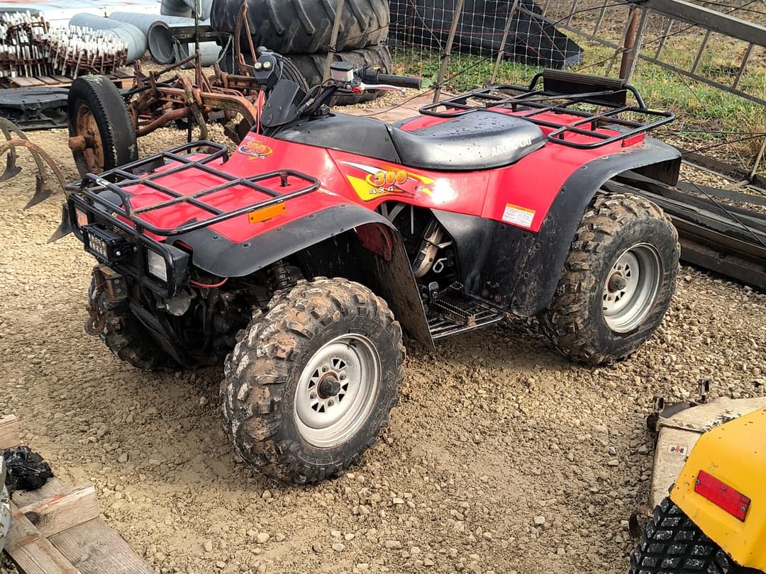 Image of Arctic Cat 300 Primary image