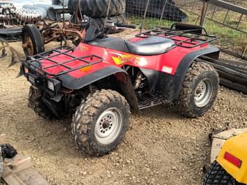 Main image Arctic Cat 300