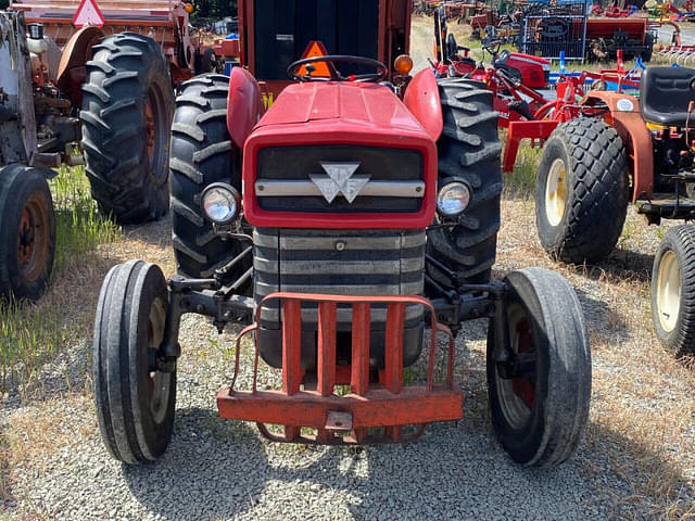 Image of Massey Ferguson 135 equipment image 1