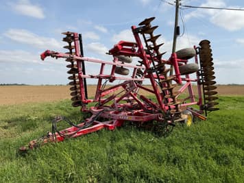 Main image Sunflower 1234