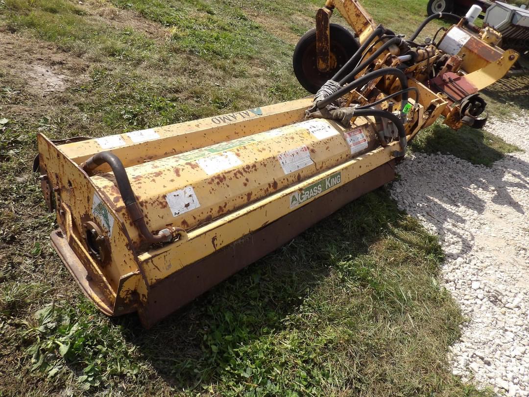 Image of Alamo Grass King Image 0