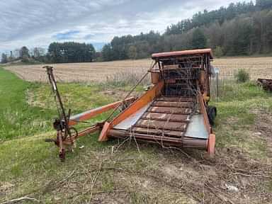 Hay and Forage
