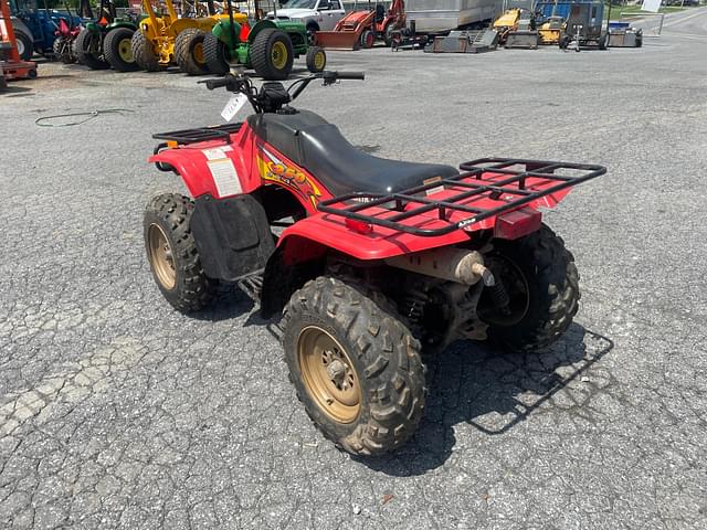Image of Arctic Cat 250 equipment image 1