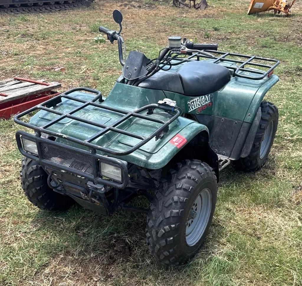 Image of Arctic Cat 250 Primary image