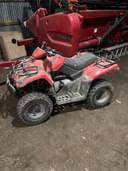 Arctic Cat 250 Image