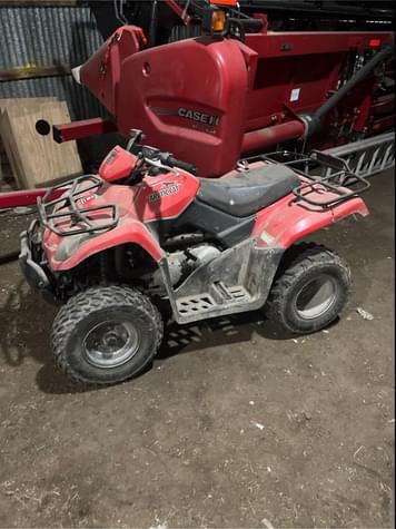 Main image Arctic Cat 250