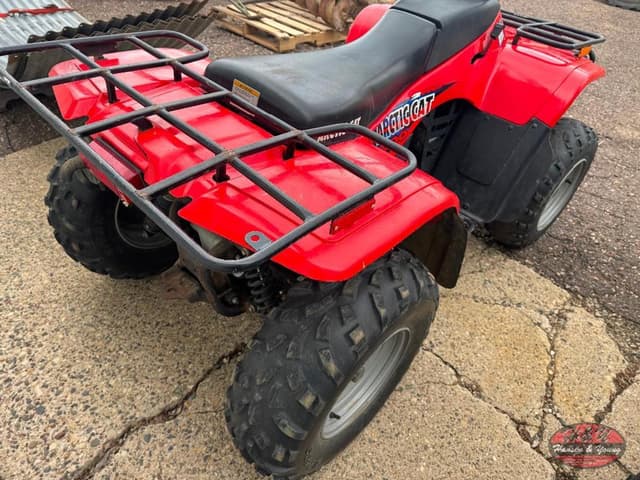 Image of Arctic Cat 300 equipment image 1