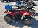 Arctic Cat 300 Image
