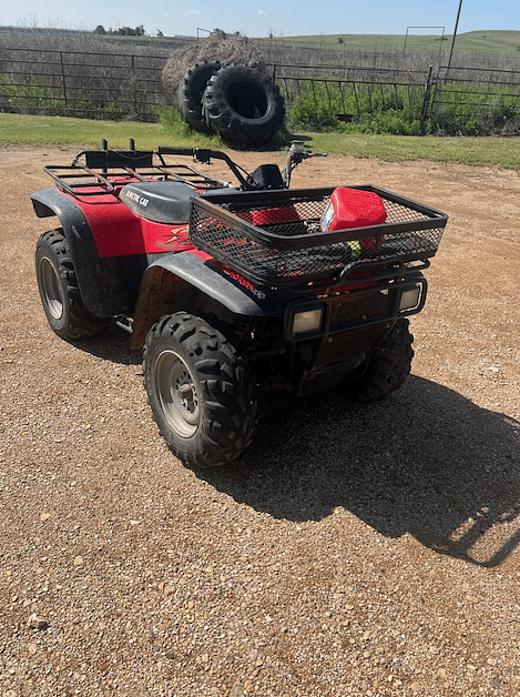 Image of Arctic Cat 300 Primary Image