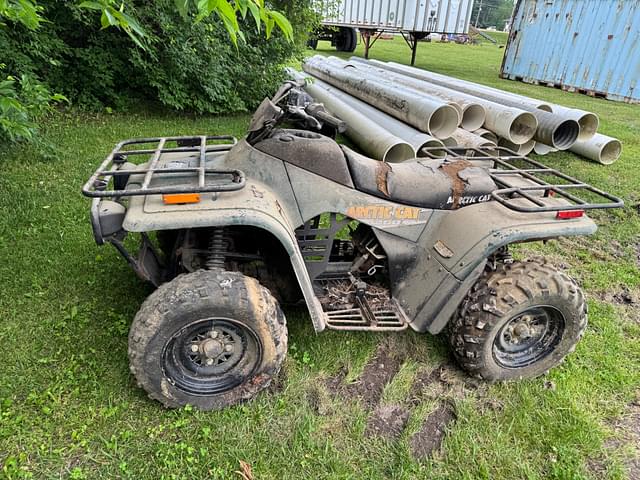 Image of Arctic Cat 250 equipment image 3