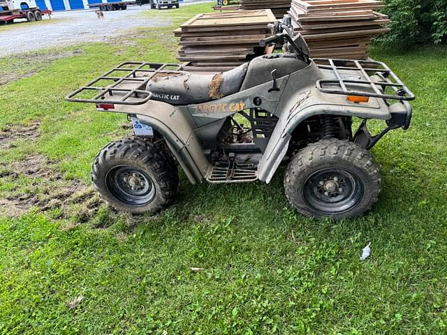 Image of Arctic Cat 250 equipment image 2