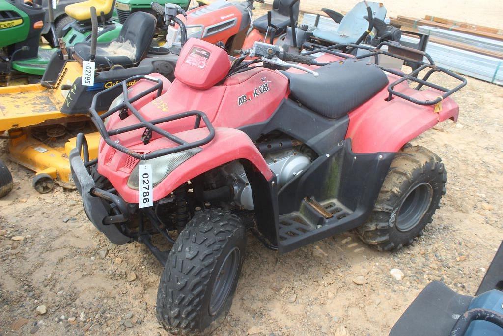 Image of Arctic Cat 250 Image 0