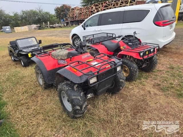 Image of Arctic Cat 300 equipment image 2