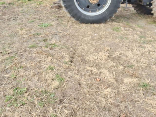 Image of International Harvester 6588 equipment image 3