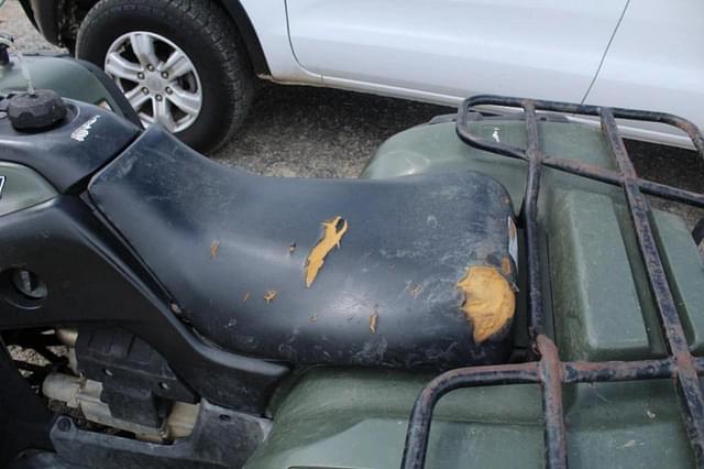 Image of Honda Rubicon 500 equipment image 2