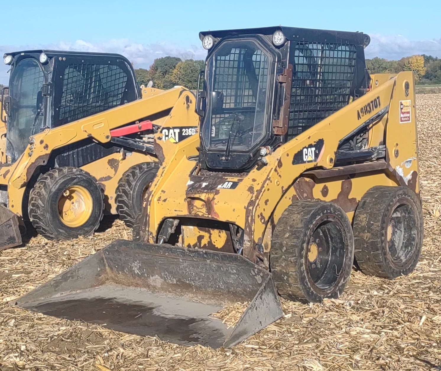 Caterpillar 236B3 Equipment Image0