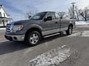 2010 Ford F-150 Image