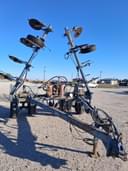 Blu-Jet Little Husky Image