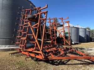 Brady Undetermined Image