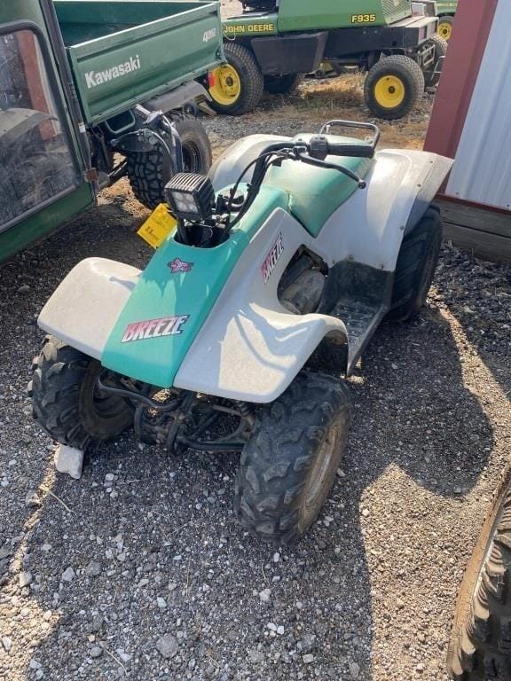 Main image Yamaha BREEZE