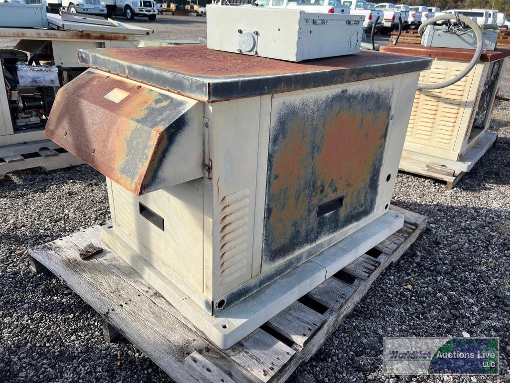 Main image Briggs & Stratton 01815