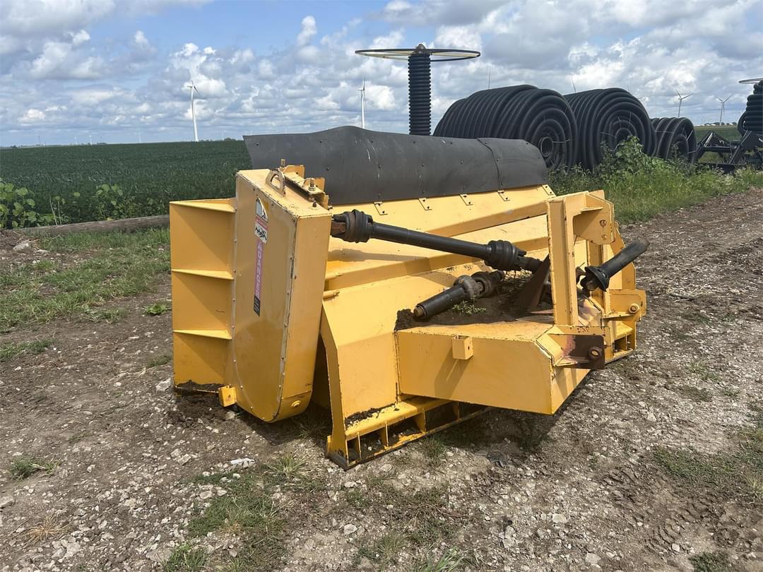 Image of Brown Bear PTOAA35 Primary image