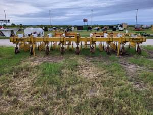 Buffalo Undetermined Image