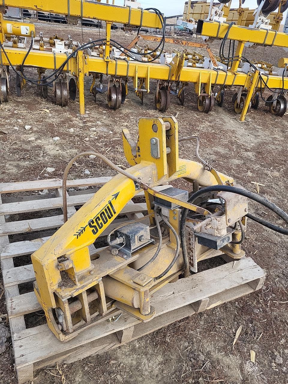 Image of Buffalo Scout Image 1