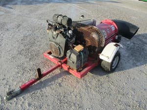 Buffalo Turbine Mega Image