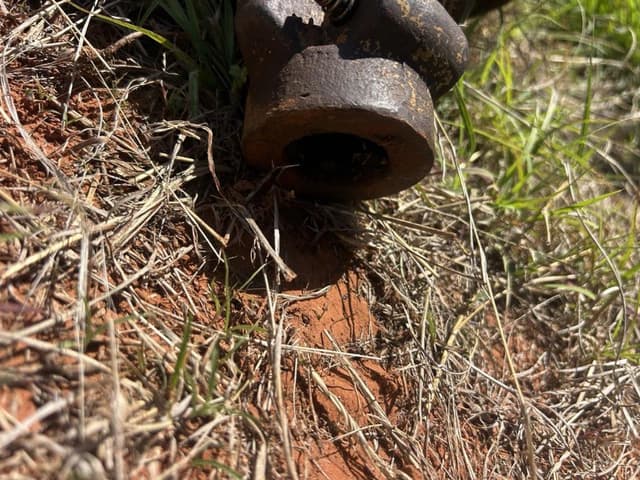 Image of Bush Hog 70301 equipment image 2