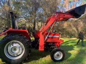 Main image Massey Ferguson 231
