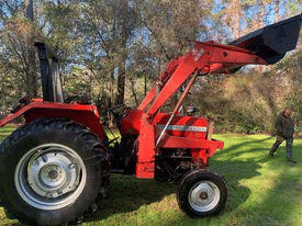 Main image Massey Ferguson 231