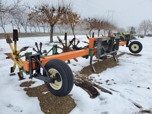 Undetermined Carrot Reservoir Diker Image