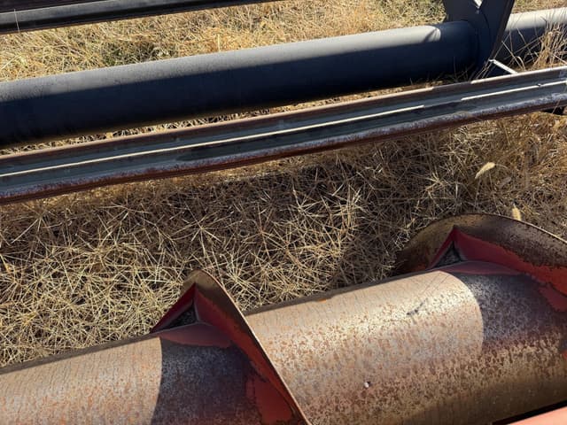 Image of Case IH 1010 equipment image 4