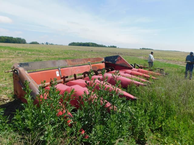 Image of Case IH 1063 equipment image 3