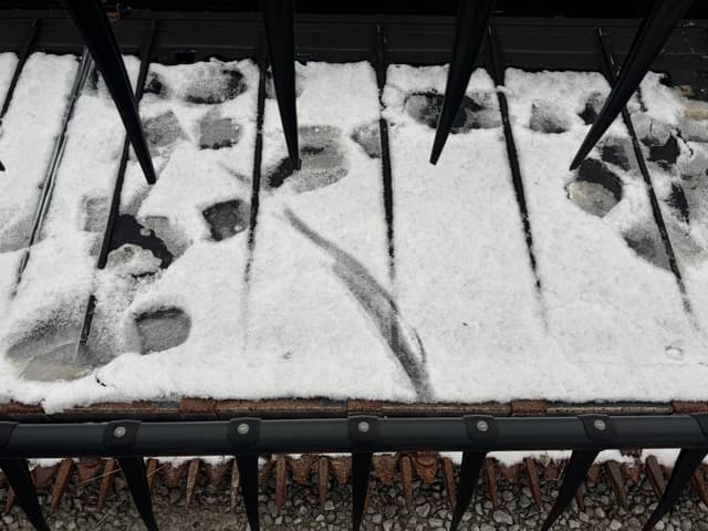 Image of Case IH 2162 equipment image 2