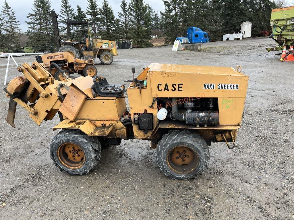 Main image Case Maxi-Sneaker