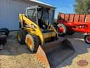 Caterpillar 246 Image