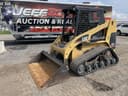 Caterpillar 247 Image