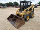 Caterpillar 246 Image