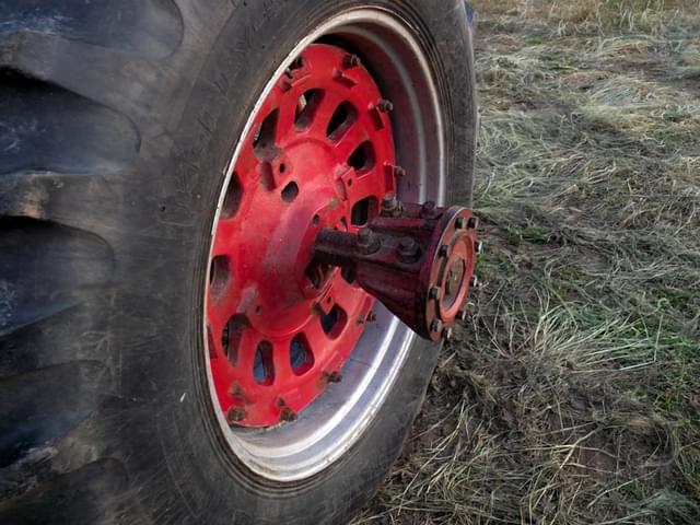 Image of International Harvester 856 equipment image 4