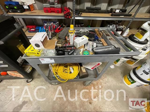 Image of Cushman Turf Truckster equipment image 1