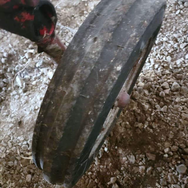 Image of Farmall A equipment image 4