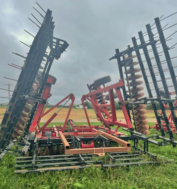 Main image Sunflower 1434