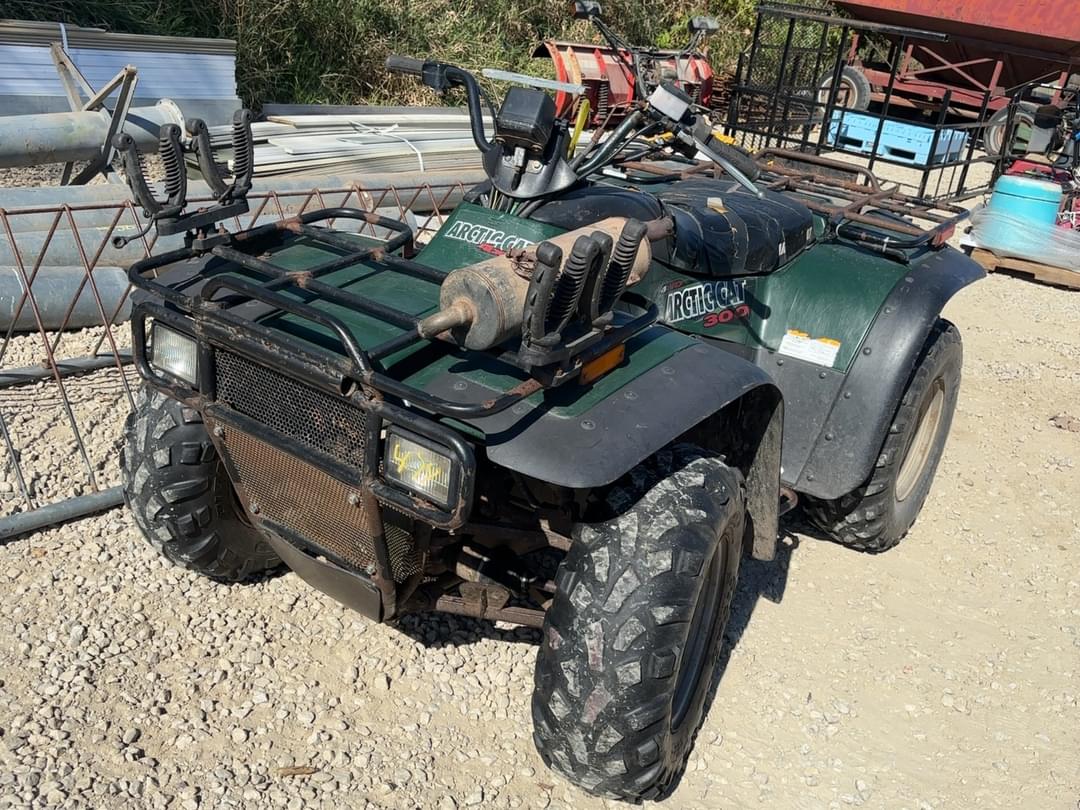 Image of Arctic Cat 300 Primary image