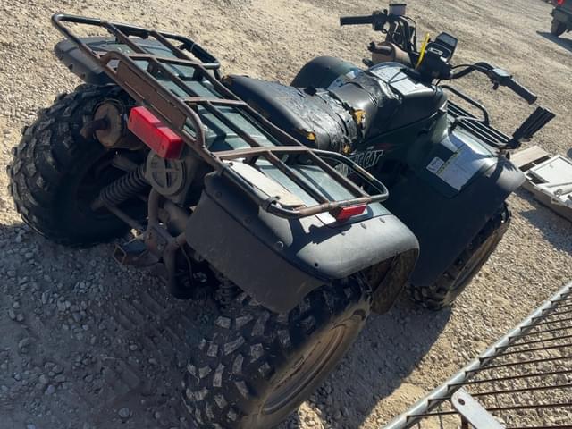Image of Arctic Cat 300 equipment image 3