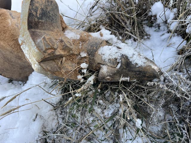 Image of Danuser F8 equipment image 4