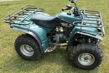 Main image Yamaha Timberwolf