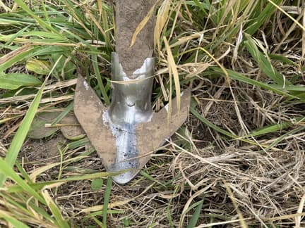 Image of DMI Tigermate II equipment image 4