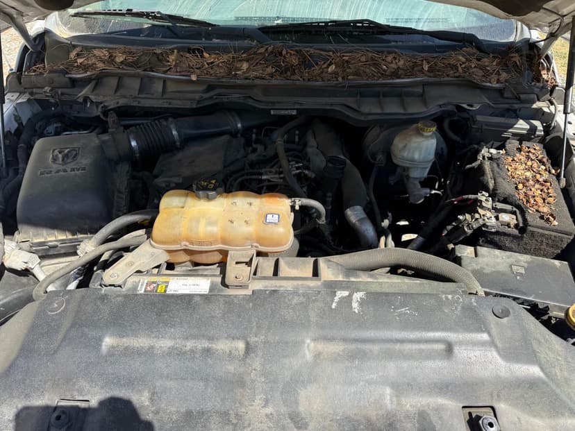 test